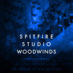 Spitfire Audio Spitfire Studio Woodwinds Professional KONTAKT