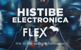 Image-Line Flex Expansion – Electronica by Histibe