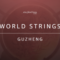 Evolution Series World Strings Guzheng v2.0 KONTAKT