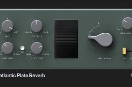 Rare Signals Transatlantic Plate Reverb v1.3.2-R2R