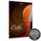 Sonuscore Lyrical Cello Phrases v1.2 KONTAKT