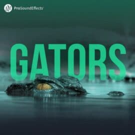 Pro Sound Effects Gators WAV