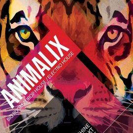 8dio Animalix Vol 1 KONTAKT Maschine