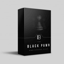 Brandon Chapa – Black Pawn (Omnisphere Bank)