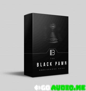 Brandon Chapa – Black Pawn (Omnisphere Bank)