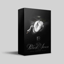 Brandon Chapa – Black Swan ll (Omnisphere Bank)