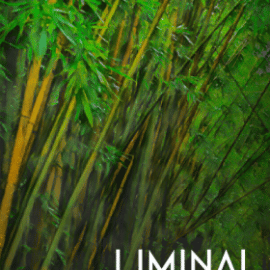 Crocus Soundware LIMINAL Winds KONTAKT