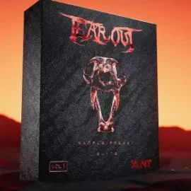 XLNT Tearout Vol.1 WAV XFER RECORDS SERUM