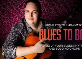 Truefire Ted Ludwig’s Blues to Bop Tutorial