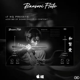 Infinite Audio Bansuri Flute VST3/AU