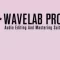 Steinberg WaveLab Pro v11.2.0 Incl V.R Unlocker b5 [WiN]