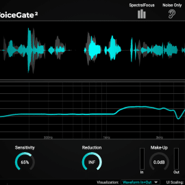 Accentize VoiceGate v2.1.1-R2R