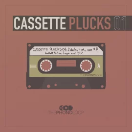 ThePhonoLoops Cassette Plucks.01 v1.01 KONTAKT