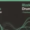 Loopmasters Patchworx 123 Rizzle DnB Serum Presets