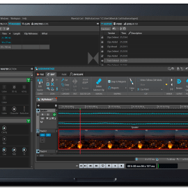 Steinberg WaveLab Cast 2.0.10 [WIN]