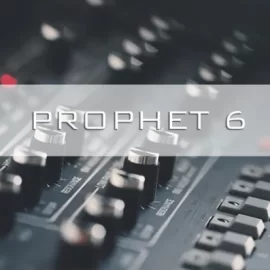 LFOAudio Prophet 6 VST x64