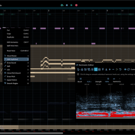 Hit ‘n’ Mix RipX DAW PRO v7.0.0 [WiN]