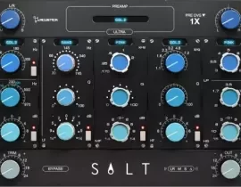 Acustica Audio Salt 2023 [MAC]