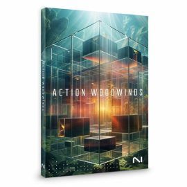 Native Instruments Action Woodwinds Kontakt