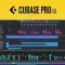 Steinberg Cubase Pro 13 v13.0.51 (WIN+MAC)