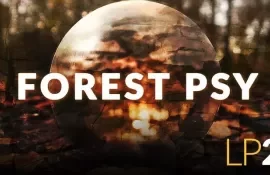 LP24 Forest Psy WAV MiDi Serum Presets