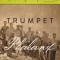 Spitfire Audio BML Trumpet Phalanx KONTAKT