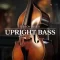 Native Instruments Session Bassist – Upright Bass KONTAKT