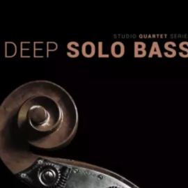 8Dio Studio Quartet Series Deep Solo Bass KONTAKT