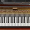 Martinic Pianet-T v1.0.2 [WIN]