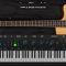 Ample Sound Ample Bass Acoustic v3.6.0 (Win+Mac)