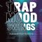 Big Fish Audio Trap Mood Swings MULTiFORMAT