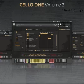 Insanity Samples CELLO ONE Volume 2 KONTAKT