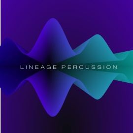 ProjectSAM Lineage Percussion v1.2 KONTAKT