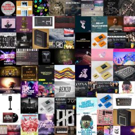 SAMPLE PACK BUNDLE (JUNE 2024) VOL 229