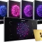 Cymatics DARK SKY Launch Edition Bonuses WAV MIDI