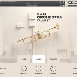 SuperAudio B.A.M Orchestra Trumpet KONTAKT