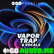 Audentity Records Vapor Trap and Vocals WAV