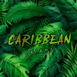 Godlike Loops Caribbean Dreams WAV MiDi