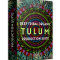 LotusTunes Tulum Deep Tribal Organic Production Suite WAV MiDi Diva Presets