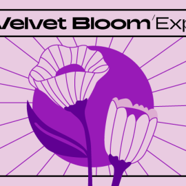 Native Instruments Velvet Bloom Maschine Expansion