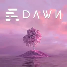 TP Audio DAWN WAV XFER RECORDS SERUM