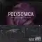 Basic Wavez Polysonica Arturia Pigments Presets For Melodic House And Techno