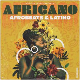 Godlike Loops Africano – Afrobeats and Latino WAV MiDi