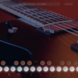 LANDR LANDR Guitar v1.1.5-R2R