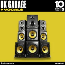 Sample Tools by Cr2 UK Garage and Vocals WAV