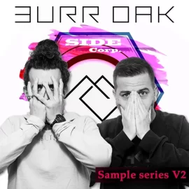 Sidecorp Sample Series Neuro D&B V2 Burr Oak WAV SERUM