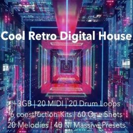 The Audio Bar Cool Retro Digital House WAV MiDi Ni Massive Presets