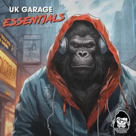 Vanilla Groove Studios UK Garage Essentials Vol 1 WAV