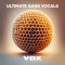 VOX Ultimate Gang Vocals WAV