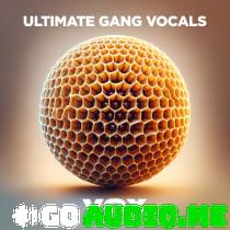 VOX Ultimate Gang Vocals WAV